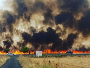 200 hektarlık tarla küle döndü