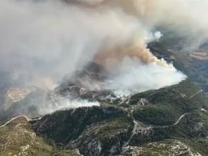 İzmir'de orman yangını