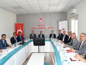 Malatya kayısısı 2024 yılı tahmini rekoltesi açıklandı