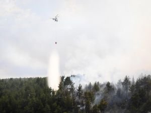 İzmir'deki orman yangınına müdahale sürüyor