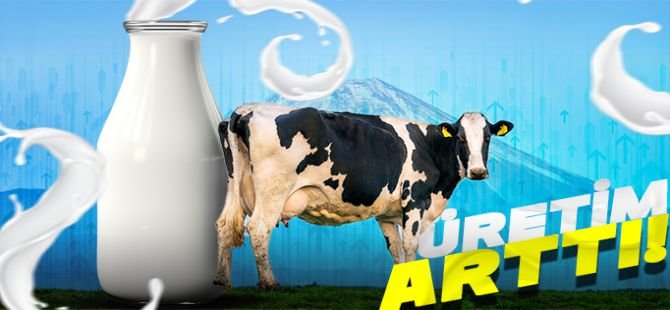 Ticari süt üretimi Mayıs 2025 verileri açıklandı