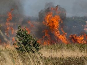 Kütahya'da orman yangını