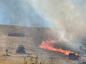 Malatya’da arazi yangını