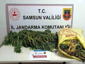 Samsun'da 12 kilogram esrar ele geçirildi