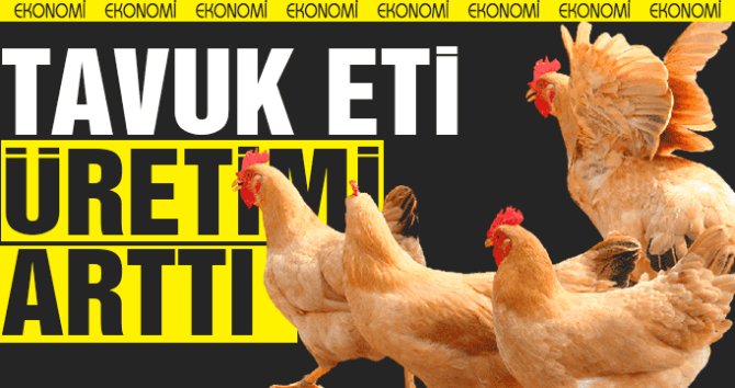 Eylülde tavuk eti üretimi arttı, yumurta üretimi azaldı
