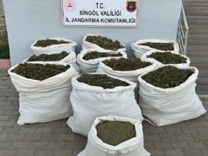 Bingöl'de uyuşturucu operasyonu