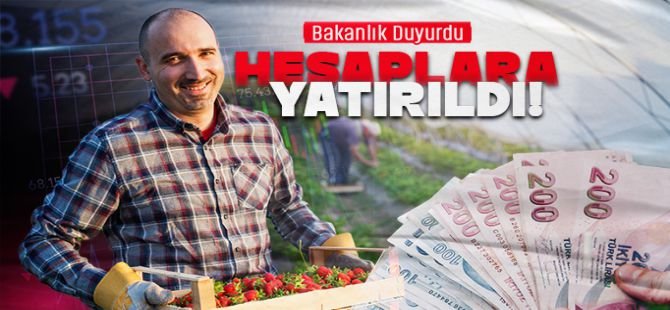 Kasım ayında üreticilere 376,8 milyon lira destek ödemesi yapıldı
