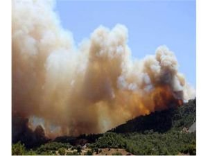 Adrasan alevler içinde! Olimpos tahliye ediliyor