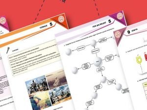 Yeni müfredata uygun yeni örnek ölçme araçları yayımlandı