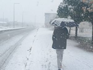 Bitlis'te yoğun kar yağışı etkili oluyor