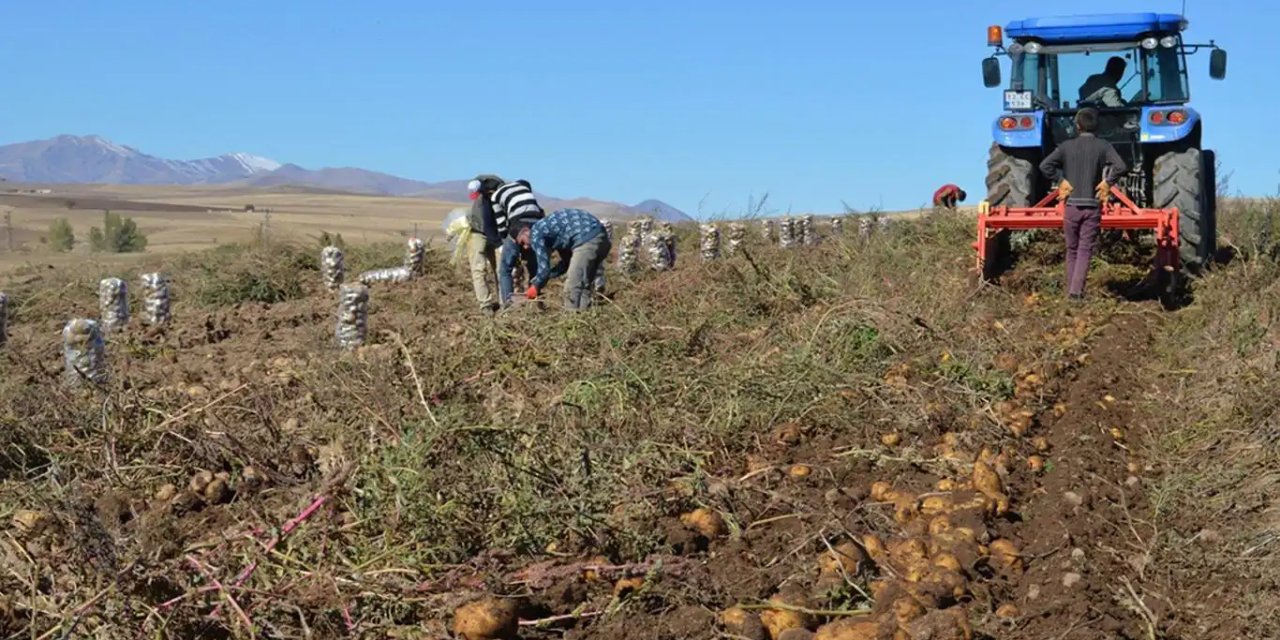 Çiftçilere 150 milyon liralık destekleme ödemesi yapılacak