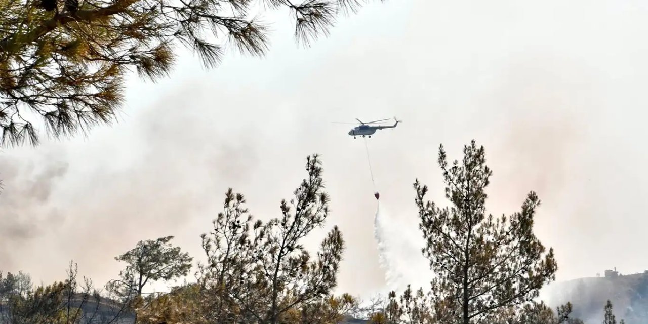 Denizli'deki orman yangınına müdahale devam ediyor