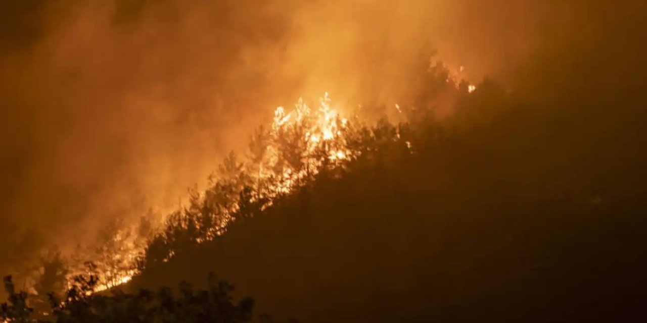 Marmaris'te orman yangını