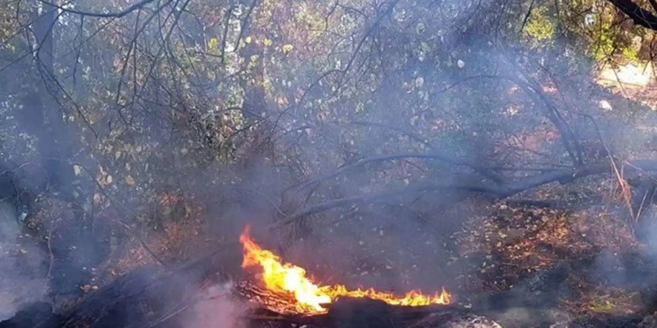 Kahramanmaraş'taki orman yangını kontrol altına alındı