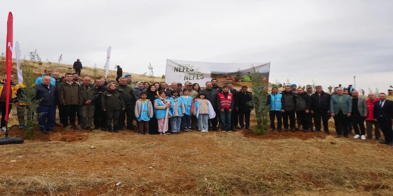 Siirt’te 2 bin 500 fidan toprakla buluştu