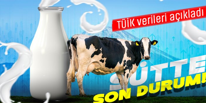 Ekimde toplanan inek sütü 895 bin ton oldu