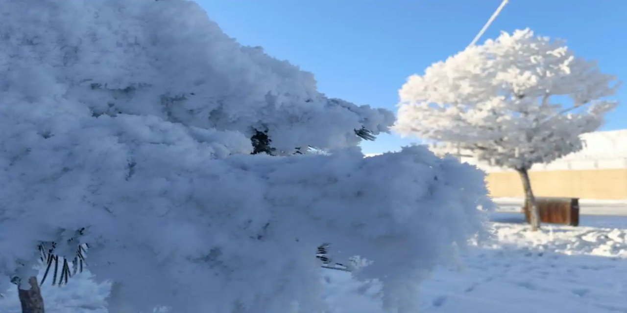 Bitlis soğukları Sibirya'yı andırıyor