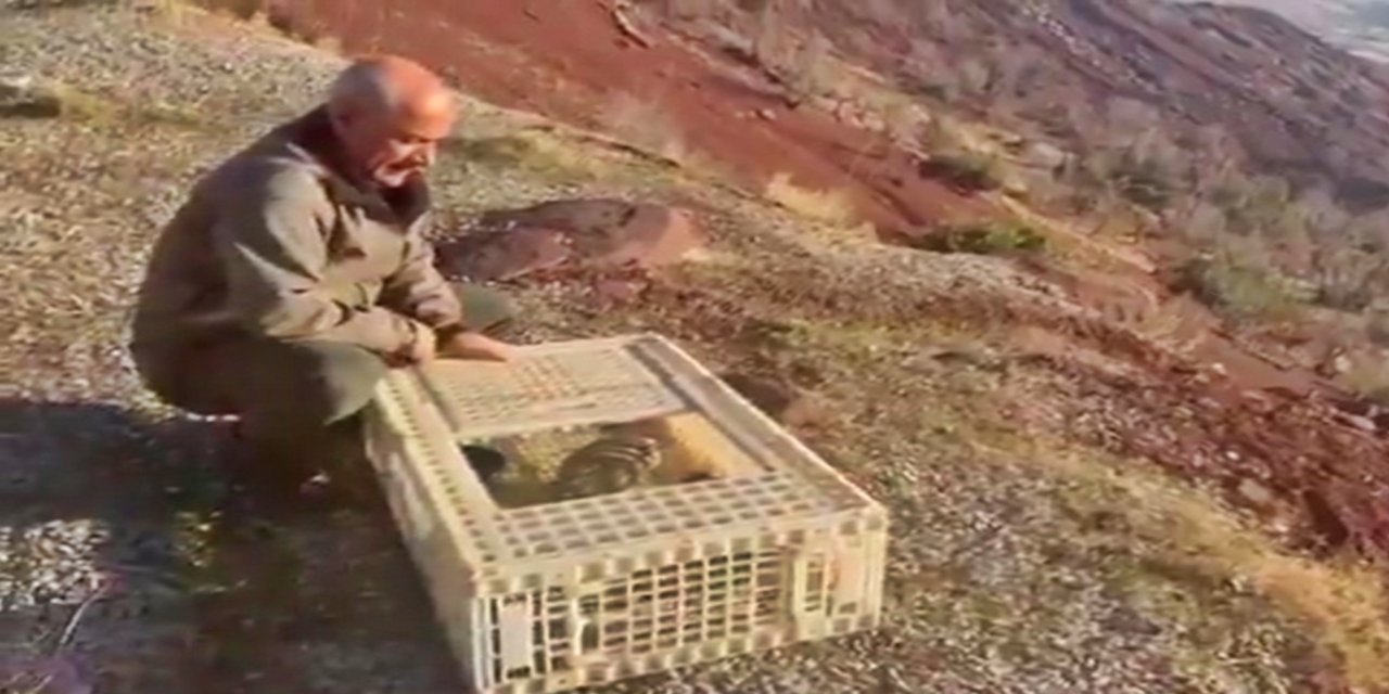 Şırnak'ta kaçak keklik avcılarına 89 bin 261 TL ceza verildi