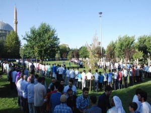 Peygamber Sevdalıları Platformunun bayramlaşma programları belli oldu