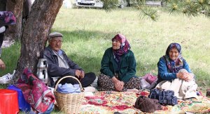 Uzmanlar kene'ye karşı uyarıda bulundu