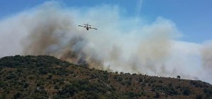 Muğla'nın Bodrum ilçesinde makilik alanda yangın çıktı