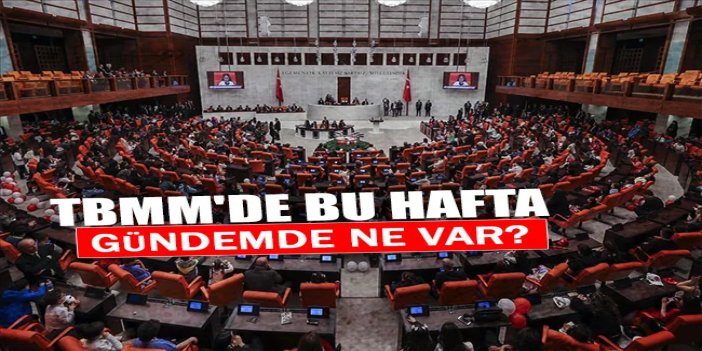 TBMM’de bu hafta: Trafik cezalarında sert artış gündemde