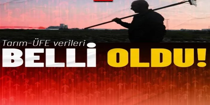 Tarım-ÜFE temmuzda yüzde 18,81 arttı