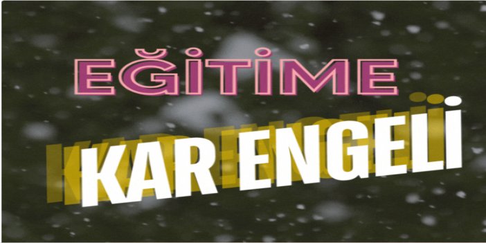 4 ilde eğitime kar tatili