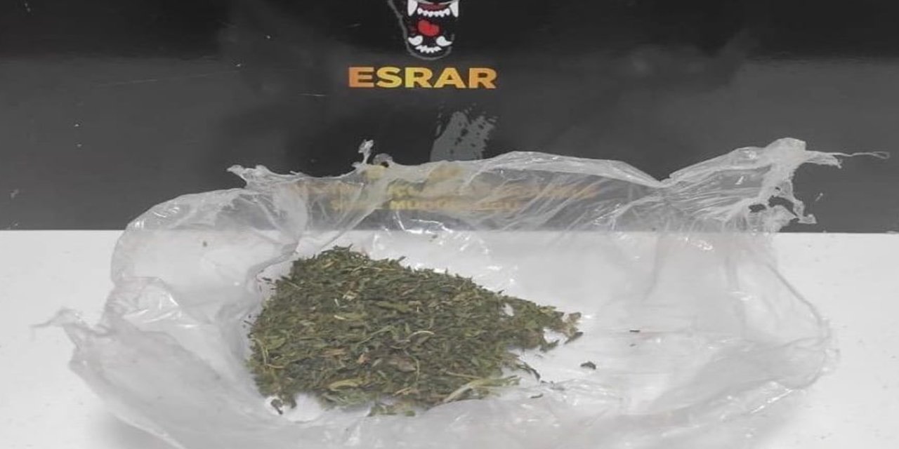 Bingöl'de uyuşturucu operasyonu