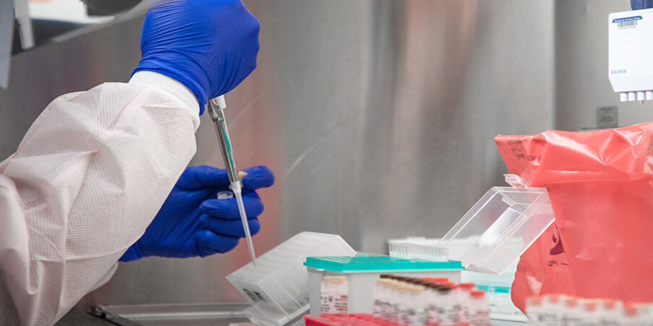 Meksika'da ilk "H5N1" türü kuş gribi tespit edildi