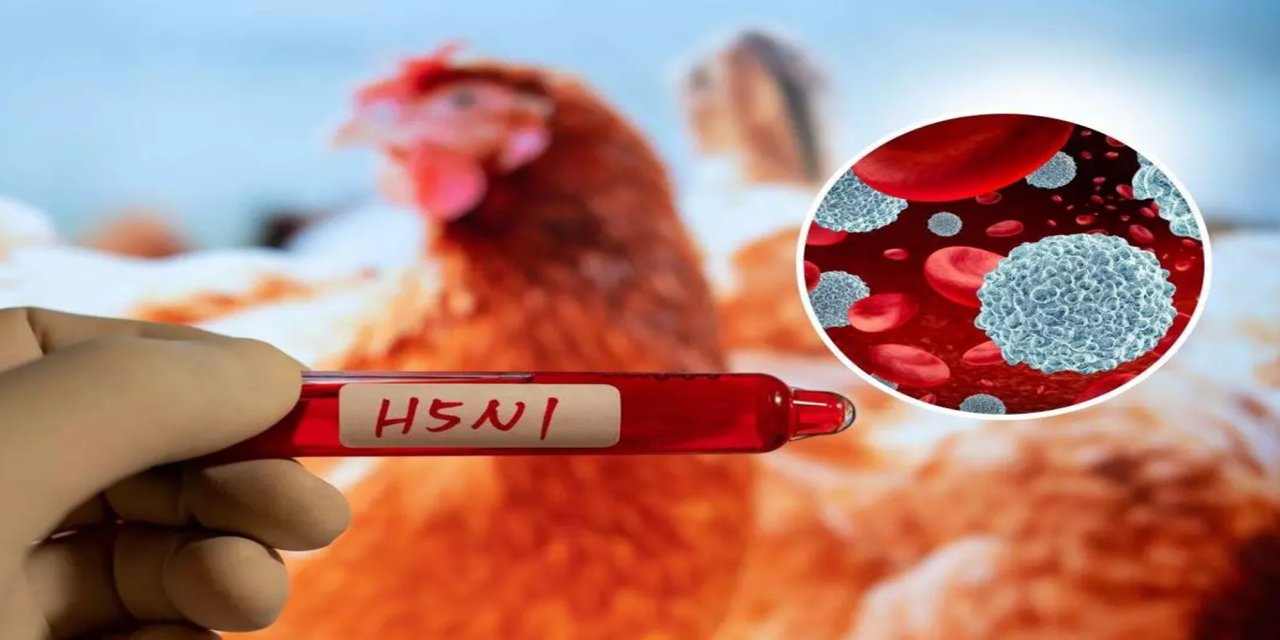Meksika’da kuş gribi nedeniyle ilk ölüm kayıtlara geçti