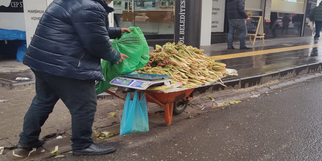 Bingöl'de dağ muzu tezgâhlarda yerini aldı