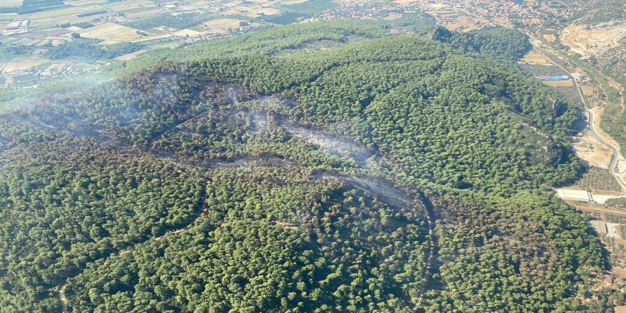Muğla'da yangın riski nedeniyle ormanlara giriş yasağı
