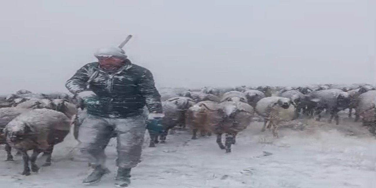Taşlıçay'da aniden bastıran tipi, besiciyi geri dönmek zorunda bıraktı