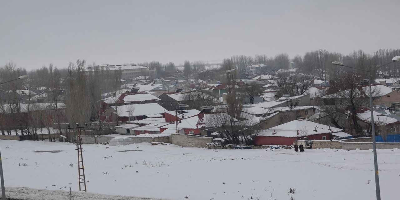 Olumsuz hava nedeni ile Ağrı ve Erzurum'da 185 yerleşim birimine ulaşım sağlanamıyor