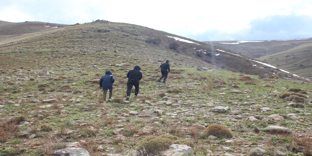 Önce çiriş otu topladılar sonra karın üzerine pekmez dökerek yediler