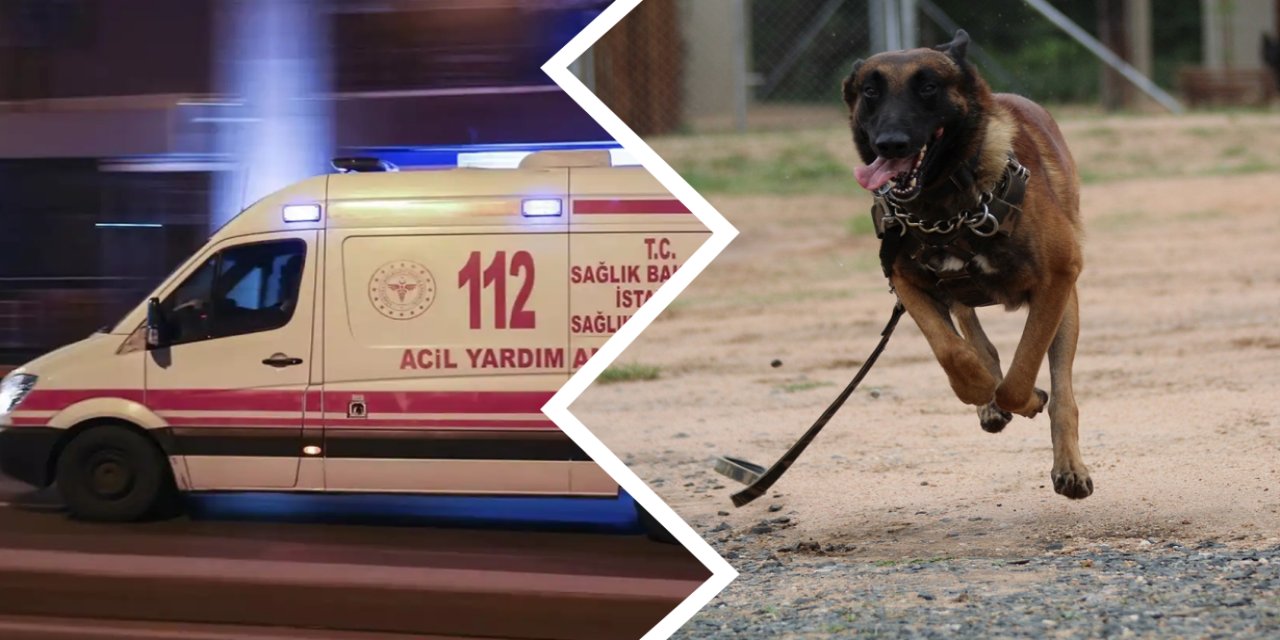 Antalya’da köpekten kaçan çocuğa motosiklet çarptı