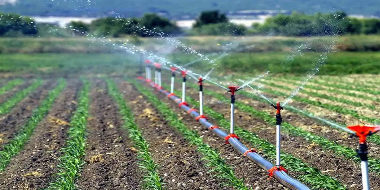 Çiftçilere 6 milyar liralık destek ödemesi bugün yapılacak