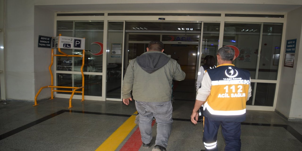 Siirt’te yılan ısırması sonucu 75 yaşındaki kadın hastaneye kaldırıldı