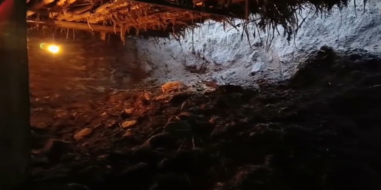Ağrı'nın Doğubayazıt ilçesinde ahır çöktü, 20 koyun telef oldu