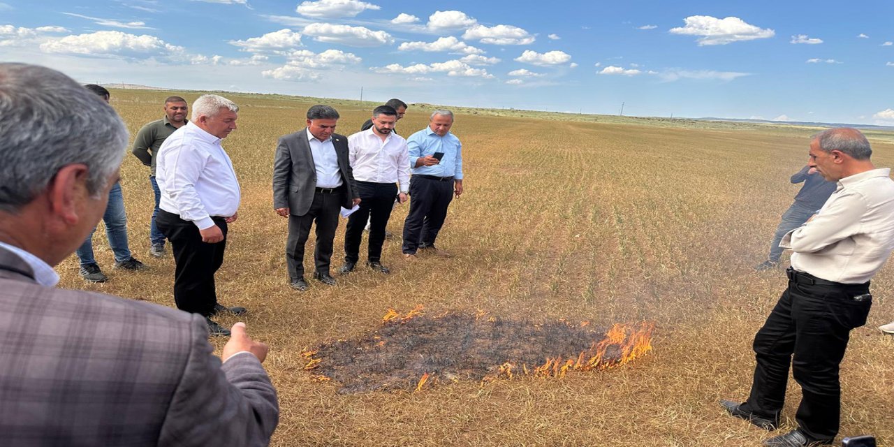 Şırnak’ta Ziraat Odaları Başkanları, kuraklık sorunu için yetkililere çağrıda bulundu