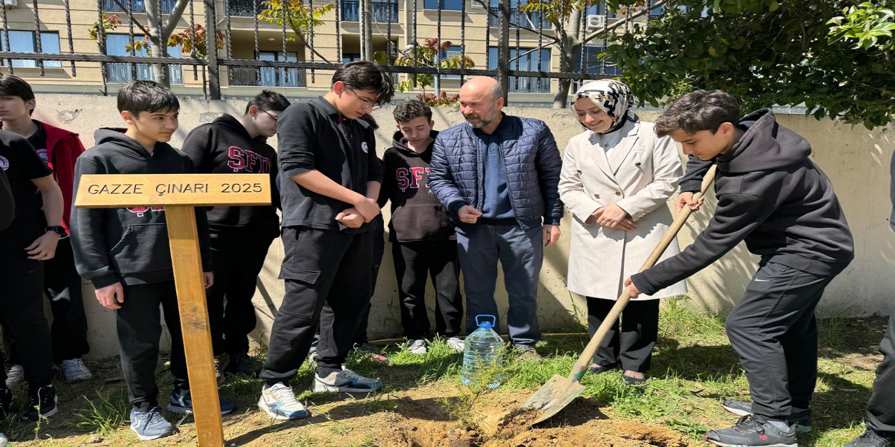 Filistinli çocukların çınarı İstanbul'da yeşeriyor