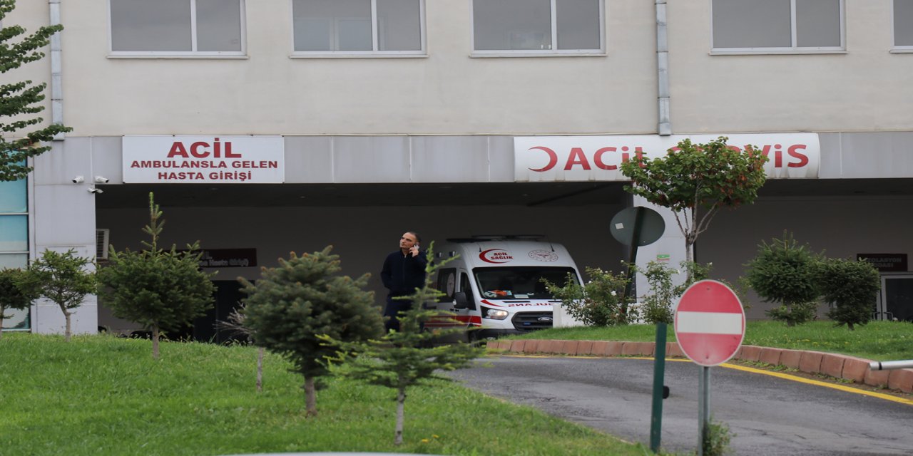 Malatya'da otomobil bahçeye yuvarlandı: 2 yaralı