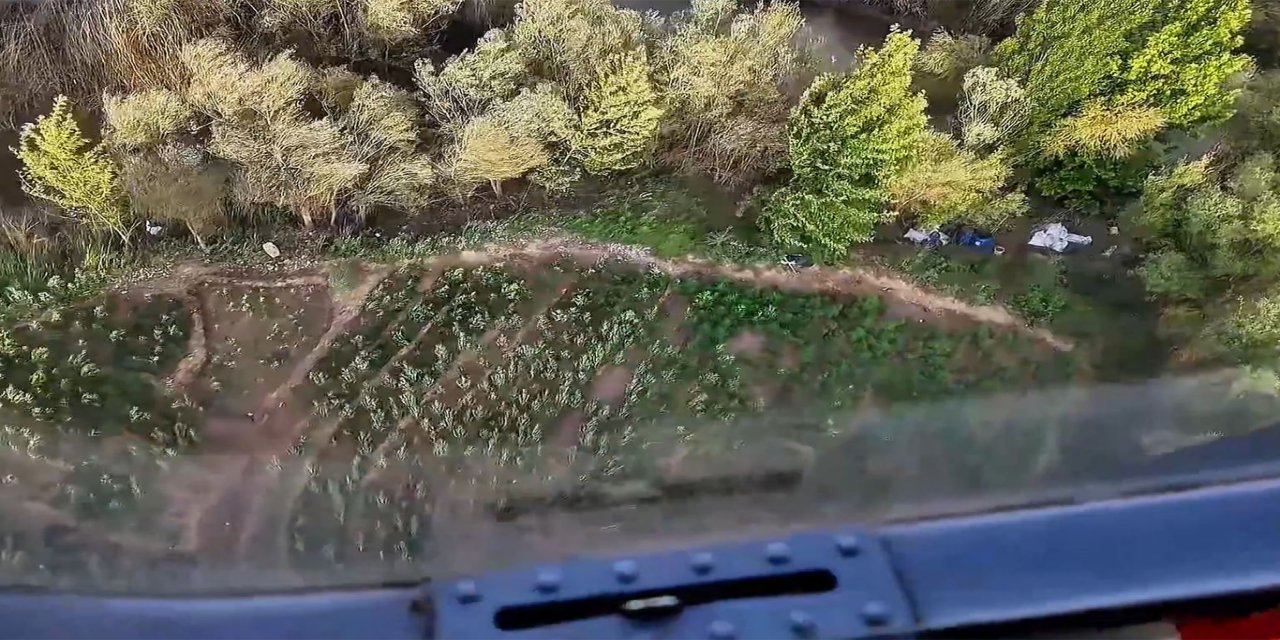 Diyarbakır'da yaklaşık bir buçuk milyon kenevir ve skunk ele geçirildi