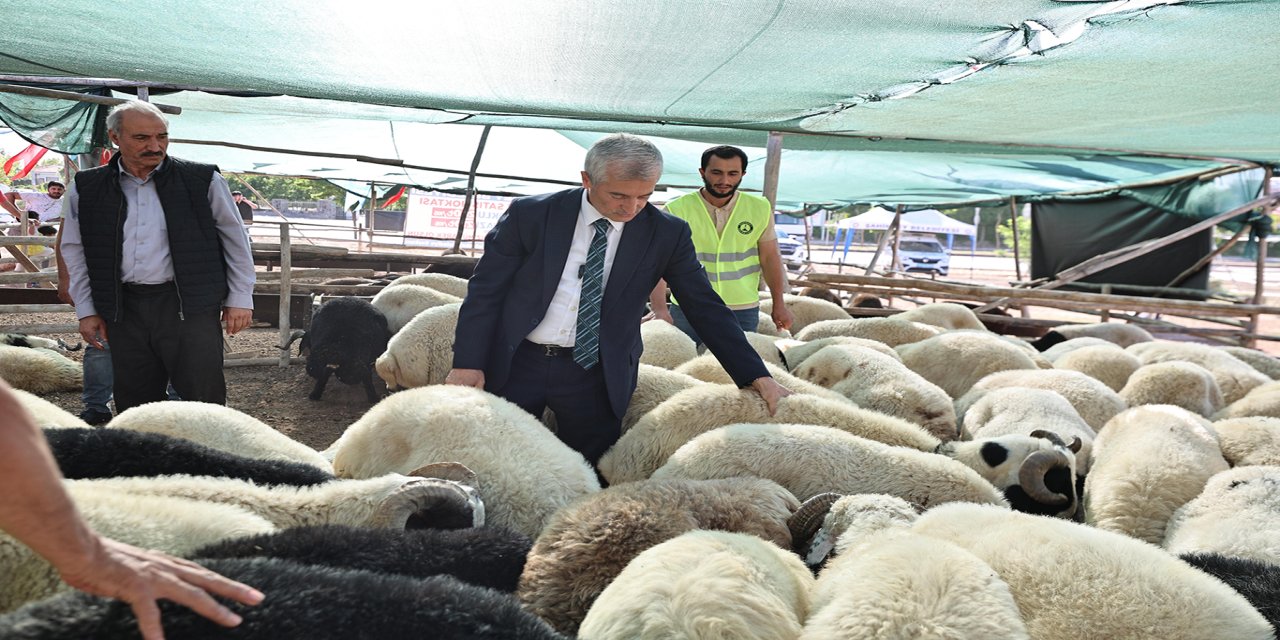 Gaziantep'te kurbanlık satış fiyatları belirlendi