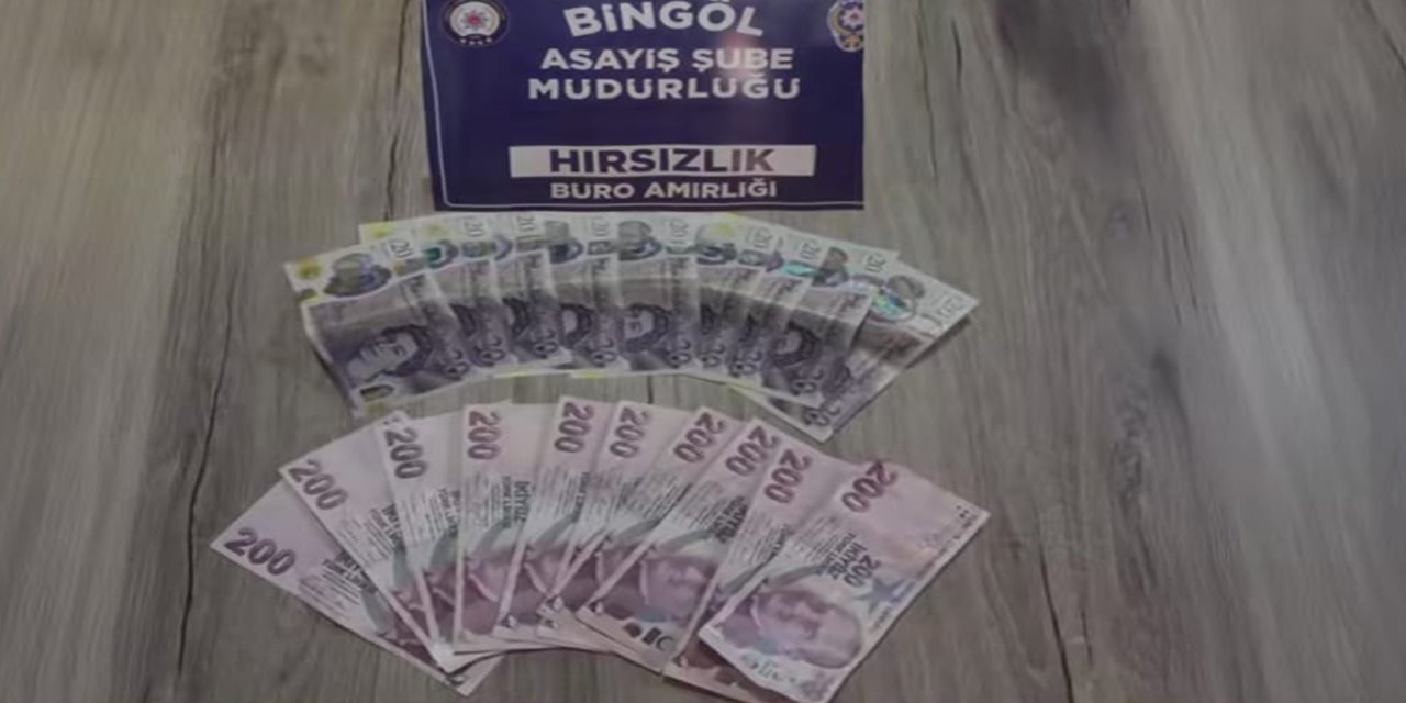 Bingöl'de hırsızlık zanlısı yakalandı