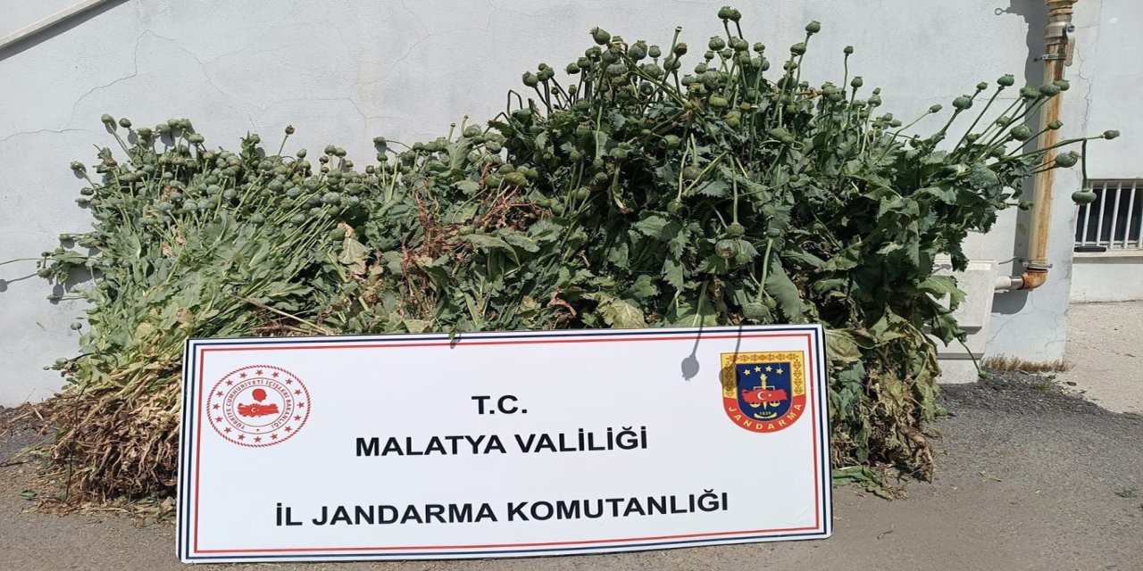 Malatya'da 18'i kesinleşmiş hapis cezası bulunan 30 kişi yakalandı