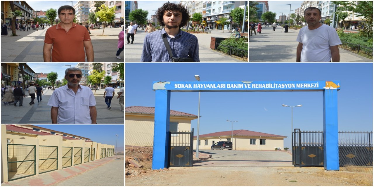 Siirt’te başıboş hayvanların barınaklara alınması halkı memnun etti