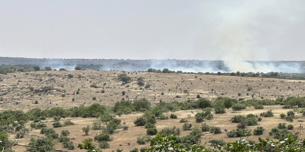 Mardin’de ormanlık alanda yangın çıktı
