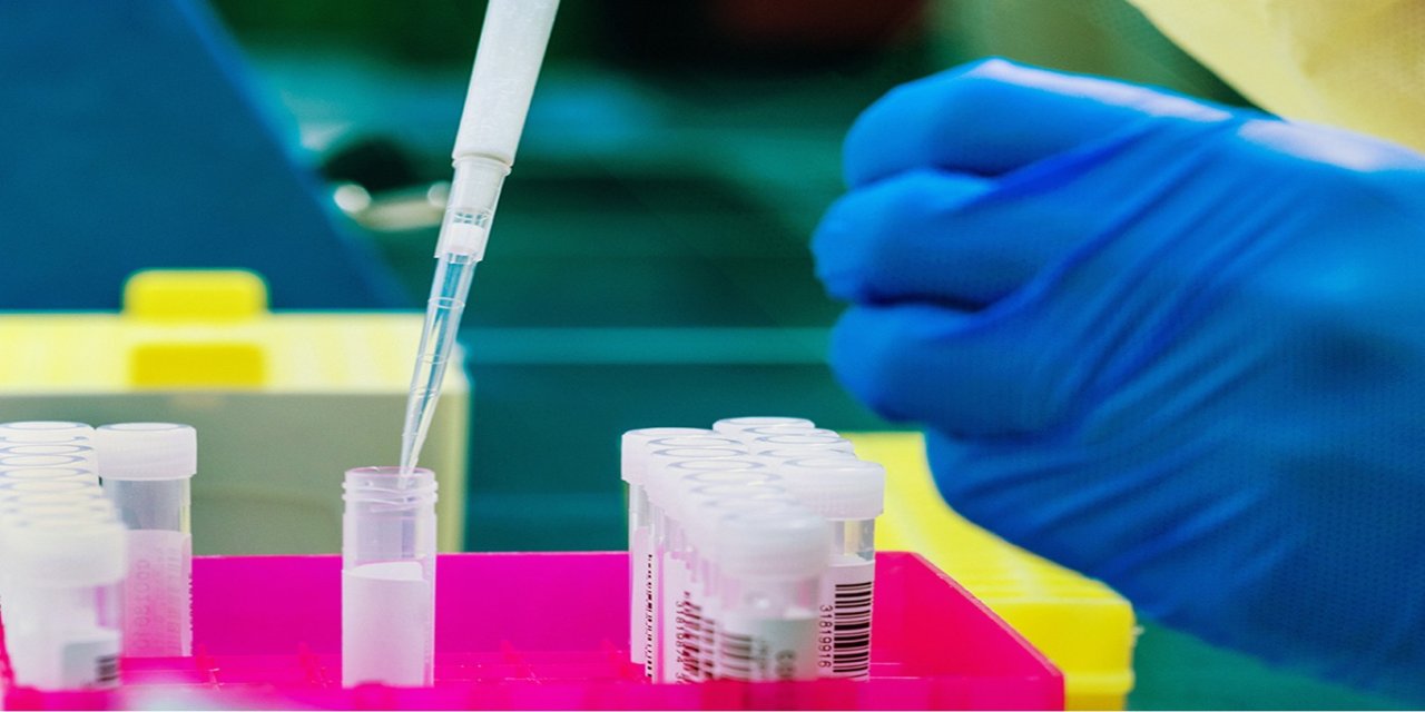 Avustralya'da yeni maymun çiçeği türünün ilk vakası bildirildi